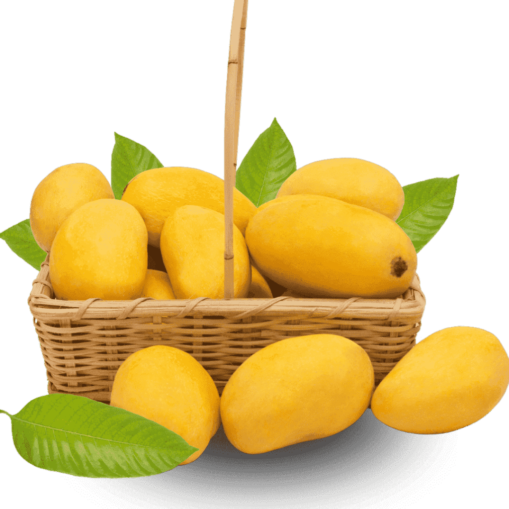 Multani Chaunsa Mango Pakistan چونسا Export Quality