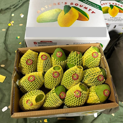 Dusehri Mango Pakistan چونسا Export Quality
