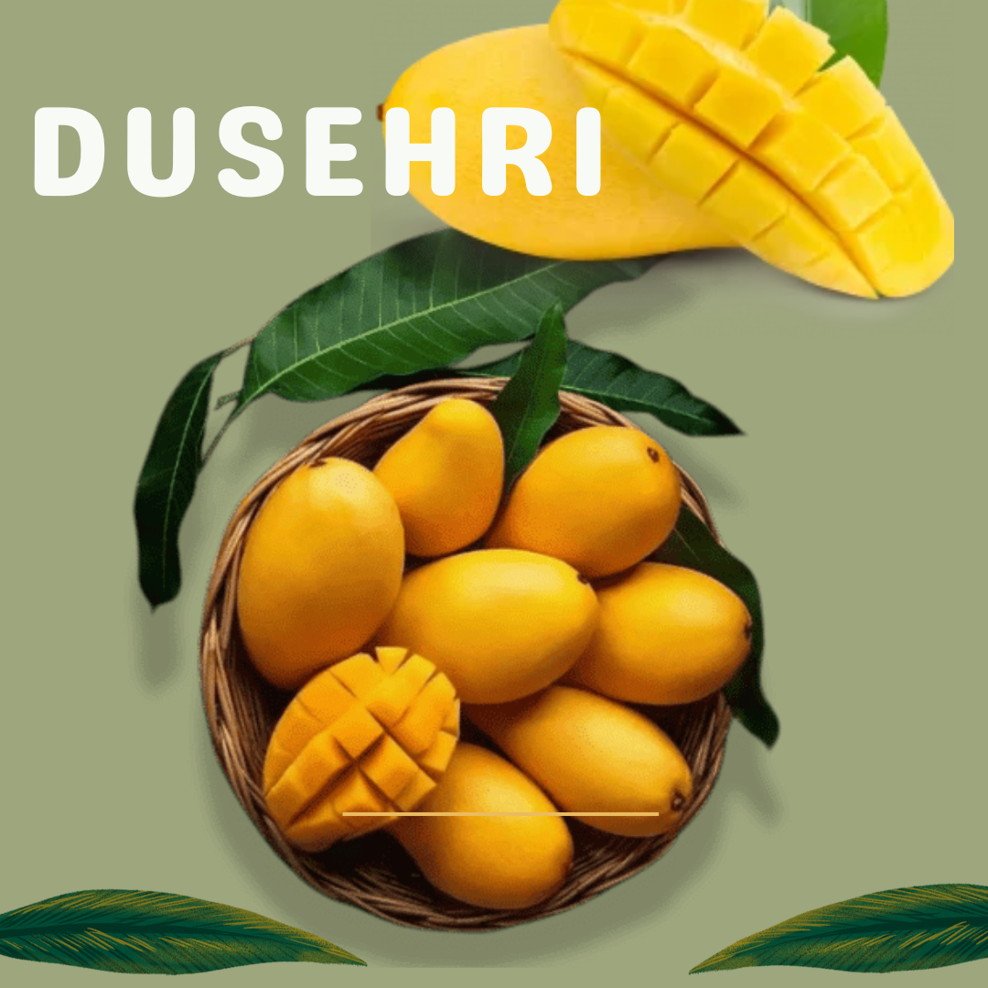 Dusehri Mango Pakistan چونسا Export Quality