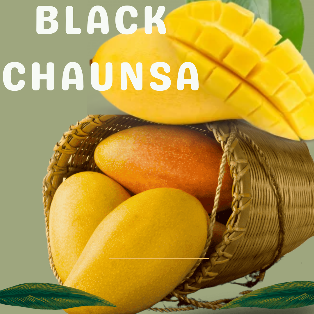 Black Chaunsa Mango Pakistan چونسا Export Quality