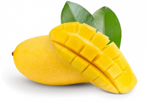Multani Chaunsa Mango Pakistan چونسا Export Quality
